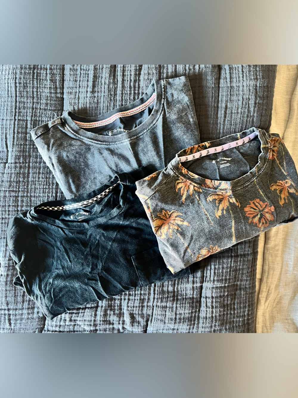 Target Art Class Boys T-Shirt Bundle: Palm Tree Print, Acid Wash Mountain, Solid